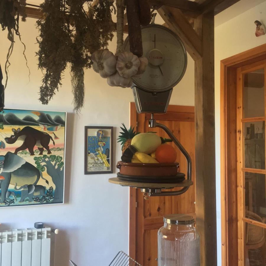 VI L'Art Wine Lodge - Only Adults Piera Экстерьер фото